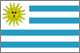 Montevideo flag